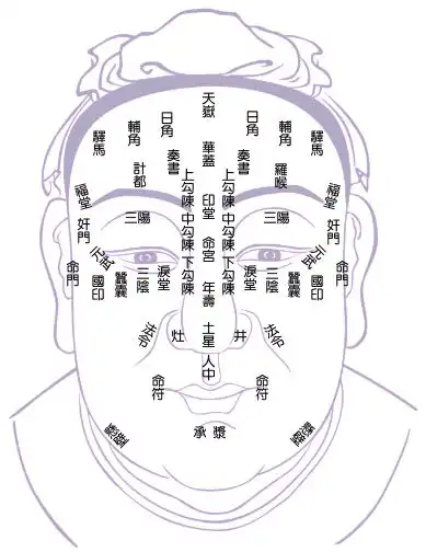 卷八(上)