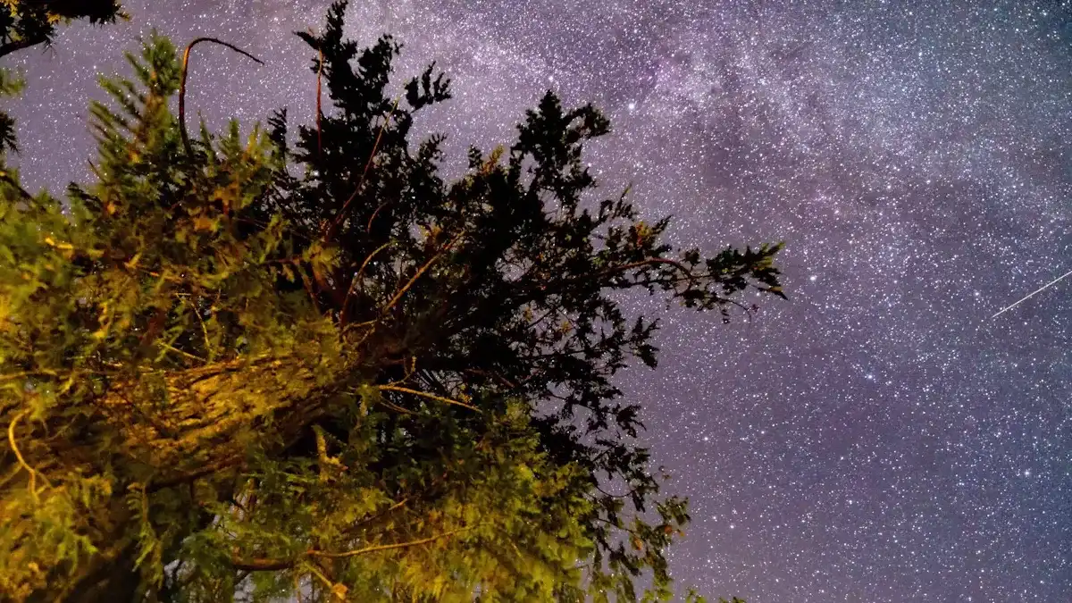 命帶華蓋星的人生象徵與性格分析
