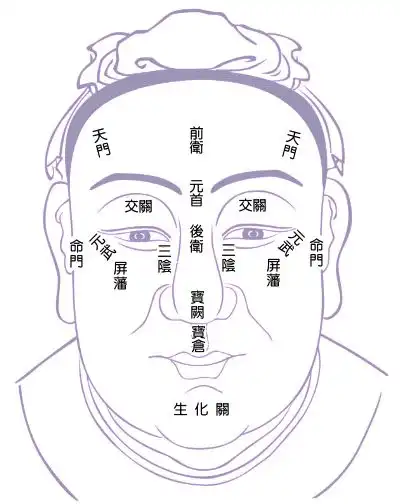 卷十一(上)