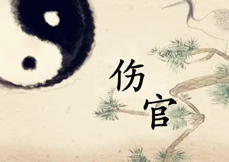 八字命理中的傷官格是什麼