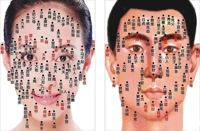 卷一(下)