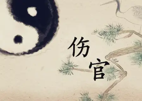 八字命理中的傷官格是什麼
