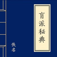 盲派祕典